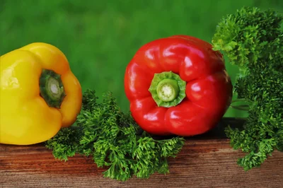 Découvrez les clés pour maintenir une alimentation équilibrée et saine en 2026